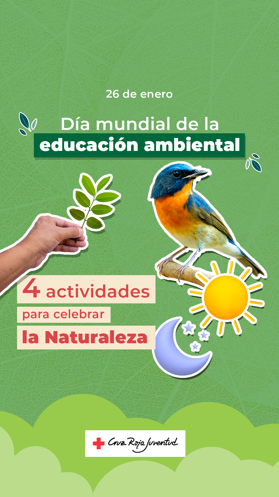 Educación ambiental para una sociedad más sostenible y respetuosa